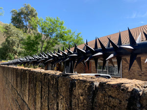 single row rotating spikes, Star rotating spikes, wall spikes, most effective anti-climb wall spikes, security spike, protect your home, secure your home business, security south africa, Spike-it security, Rola spikes, Star Spikes, rotating security spikes, wall spikes, vibracrete spikes, brick wall spikes,