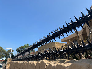 Double row rotating spikes, Star rotating spikes, wall spikes, most effective anti-climb wall spikes, security spike, protect your home, secure your home business, security south africa, Spike-it security, Rola spikes, Star Spikes, rotating security spikes