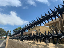 Load image into Gallery viewer, Double row rotating spikes, Star rotating spikes, wall spikes, most effective anti-climb wall spikes, security spike, protect your home, secure your home business, security south africa, Spike-it security, Rola spikes, Star Spikes, rotating security spikes
