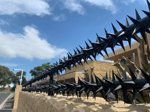 Double row rotating spikes, Star rotating spikes, wall spikes, most effective anti-climb wall spikes, security spike, protect your home, secure your home business, security south africa, Spike-it security, Rola spikes, Star Spikes, rotating security spikes